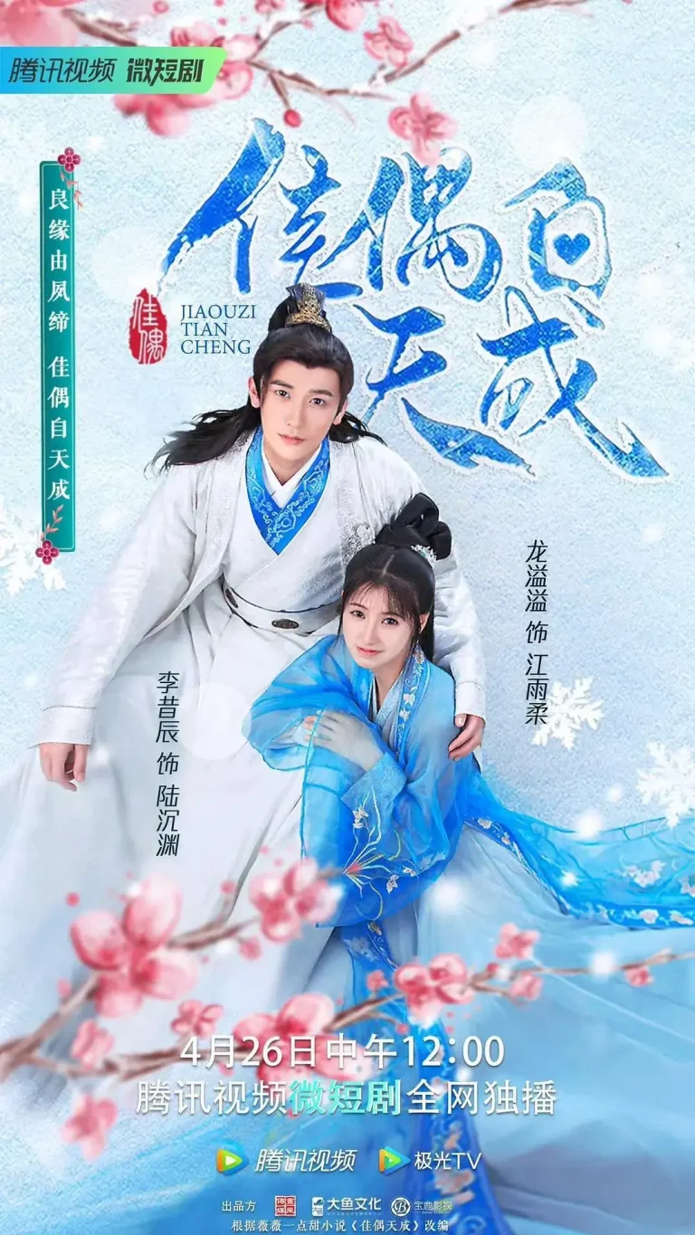 《佳偶自天成》全集高清完整版在线观看与剧情解析