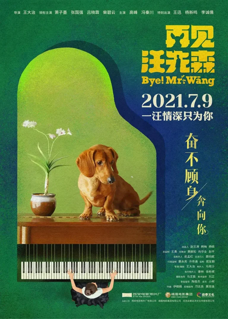 《再见汪先森》全集高清完整版在线观看与剧情解析