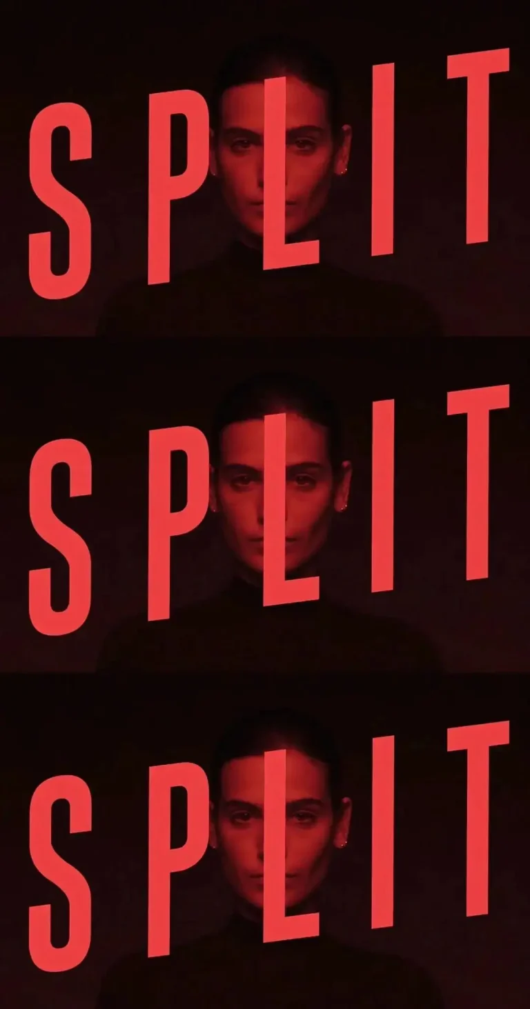 分裂第一季