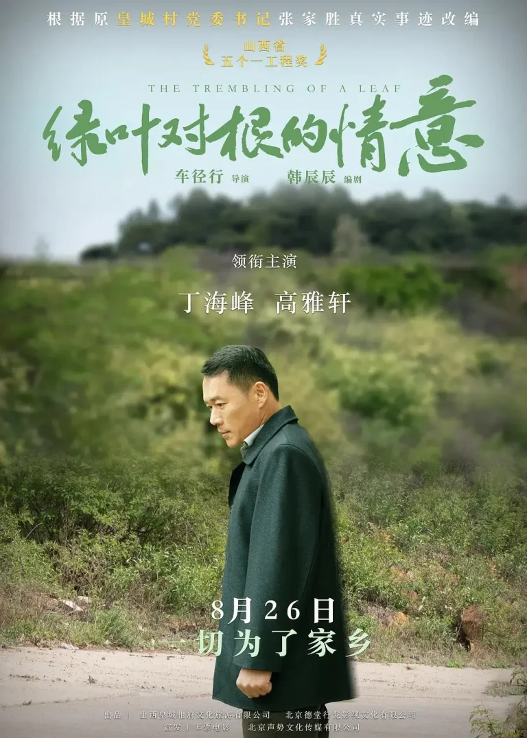 《绿叶对根的情意》全集高清完整版在线观看与剧情解析