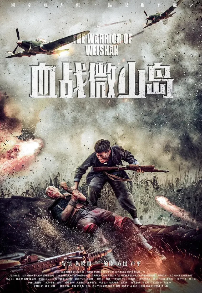 《血战微山岛》全集高清完整版在线观看与剧情解析