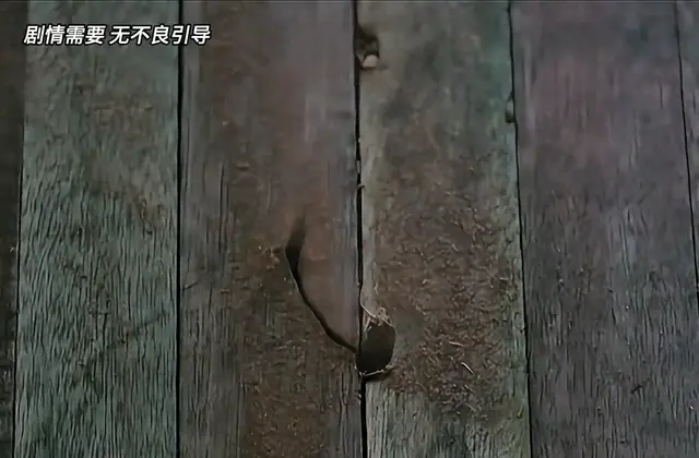 发哥潜入运画车厢夺回蒙娜丽莎名画：相关图片